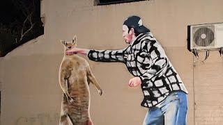 Man Who Punched Kangaroo That Stole His Dog Is Painted As Tribute Mural [upl. by Anallij984]