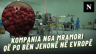 Kompania nga Mramori që po bën jehonë në Evropë me frutat e pyllit Mbi 700 fermerë… [upl. by Aidaas]