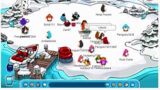 How to make bots on Club Penguin REAL [upl. by Gagne]