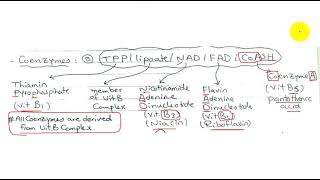 Oxidative Decarboxylation and Krebs cycle [upl. by Eyllib]