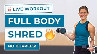 35Minute Full Body Shred Workout No Burpees [upl. by Hoyt448]