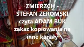 STEFAN ŻEROMSKI  ZMIERZCH Nowela Audiobook [upl. by Enawyd]