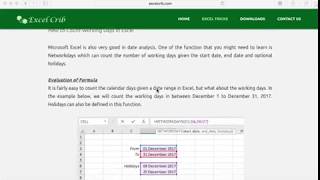 How to Count Working Days in Excel  Networkdays Function [upl. by Nale]