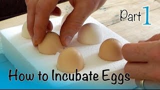 How to Incubate and Hatch Eggs  Part 1 of 3  Setting up the Incubator [upl. by Cut979]