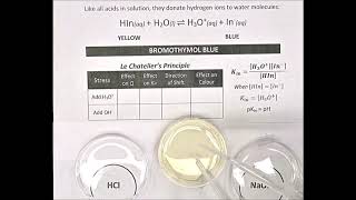 Acid Base Indicators [upl. by Crescen]