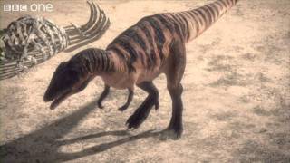 Carcharodontosaurus  Planet Dinosaur  Episode 1  BBC One [upl. by Franzen671]