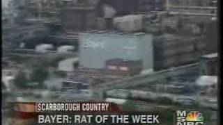 Bayer Aspirin Rat of the week [upl. by Sirotek466]