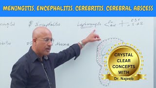 Difference Between Meningitis  Encephalitis  Cerebritis  Cerebral Abscess🩺 [upl. by Dahij]