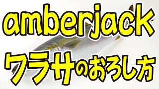 ワラサ（ブリの子供） How to prepre amberjack [upl. by Huxham666]