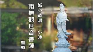 南無觀世音菩薩 1小時  Guanyin Bodhisattva  觀音菩薩  南无观世音菩萨 [upl. by Dyoll966]