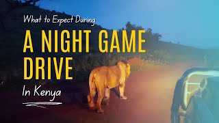 What To Expect During A Night Game Drive In Kenya  Africa [upl. by Ellerad]