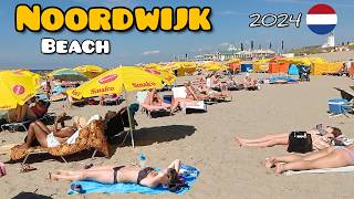 Noordwijk BeachOne of the best beach in the NederlandsHighlights boulevardbeach walksummer 2024 [upl. by Lirrehs857]