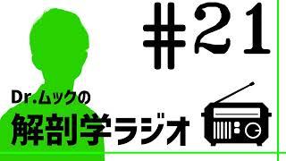 解剖学ラジオ21 横になった時の顔貌は違う？（美容筋膜SMASの研究） [upl. by Anita]