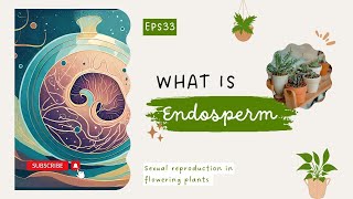 What is Endosperm Sexual reproduction in flowering plants LearnQuest [upl. by Hut]