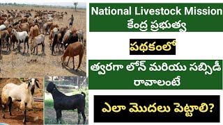 National Livestock Mission  How to get the loan and subsidy easily in Telugu [upl. by Atiuqat]