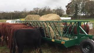 Diller HFW8820 Hay Feeder Wagon [upl. by Tressa]