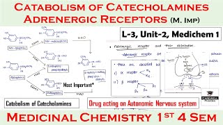 Adrenergic receptors  catabolism of catecholamines  synthesis amp release  L3 U2  medichem 1 4th [upl. by Antoinetta]