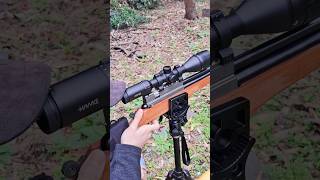 HAWKE VANTAGE IR 412X50 AO IR  Evanix AR6K 22 PCP plinking airguns pcp targetshooting [upl. by Eyanaj948]