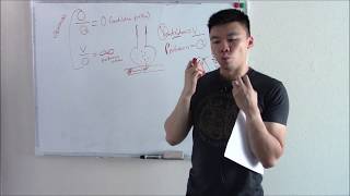 USMLE Respiratory 4 Physiology  VQ Mismatch and Aa Gradient [upl. by Ytsirk]