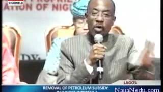 Subsidy Debate  Sanusi Lamido Sanusi [upl. by Schalles]