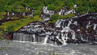 Reykjavík  Hraunfossar and Barnafoss Waterfalls MSC Preziosa Excursion [upl. by Akinehc]