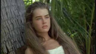 brooke shields the amazing beauty of [upl. by Yereffej]