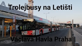 Trolejbusy na Letišti Václava Havla v Praze [upl. by Eramal]