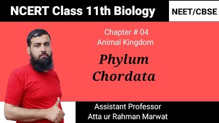 Phylum Chordata  Animal Kingdom  NCERT Class 11th Biology  NEET Exam  CBSE Exam [upl. by Aleck]