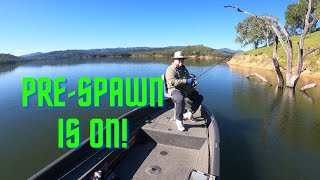 Lake Nacimiento PreSpawn is On [upl. by Stewardson991]