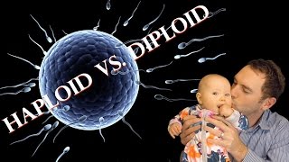 Haploid vs Diploid  James Dundon [upl. by Iba]