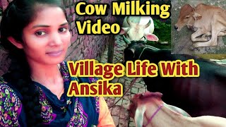 Village Cow Milking VlogVillage Life VlogVillage Cow Milking [upl. by Cestar]