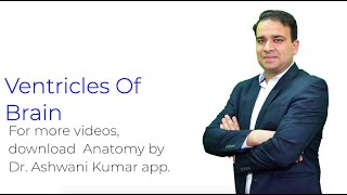 Ventricles of Brain  Anatomy by Dr Ashwani Kumar [upl. by Teri]