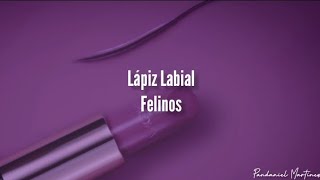 Felinos  Lápiz labial  Letra [upl. by Akinal]