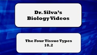 The 4 Tissue Types – 102 – Biol 189 [upl. by Junji384]