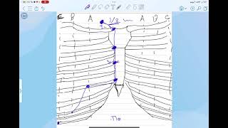 Surface anatomy of lung and pleura [upl. by Reis]