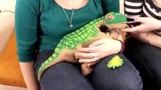 Ugobes Pleo dinosaur robot reviewed by Shiny Media [upl. by Hsur]