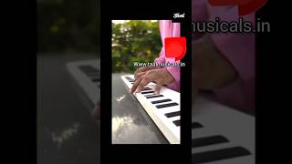 Piano Folding piano 88 keys  carry anywhere  TAAL MUSICALS [upl. by Anibla]