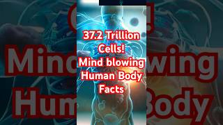 MindBlowing Facts About the Human Body shortsfeed facts [upl. by Myrta]