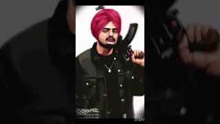 Scapegoat sidhu moosa wala scapegoat rap music editsongsidhumoosewala [upl. by Mueller]