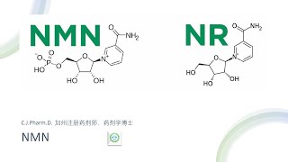 NMN 功效和未知。NMN作为当前比较热的保健品，原理是什么，安全吗？ [upl. by Gwenn]