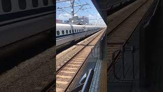 High Speed Shinkansen  I love it shinkansen fyp [upl. by Mignonne168]