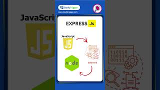 What is Expressjs  Understanding Expressjs in 60 Seconds  StudyTrigger [upl. by Ymmas]