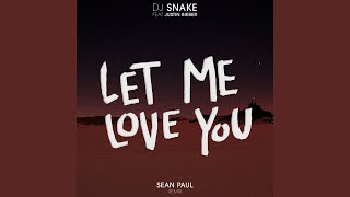 Let Me Love You Sean Paul Remix [upl. by Reyotal]