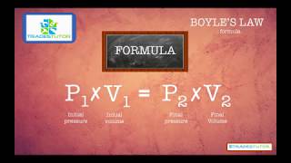 Boyles Law [upl. by Eenor]