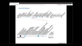 WormBase Webinar 8 Gene Function Graphs and Gene Set Enrichment Analysis [upl. by Sukey94]