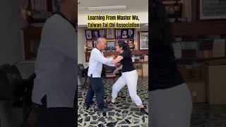 Push Hands with Master Wu Taiwan Tai Chi Association [upl. by Berns]