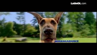 Trailer de Marmaduke en español [upl. by Norval]