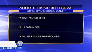 Woofstock Music Festival returns to Chico [upl. by Tnerual485]