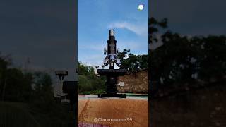 Kotbel makha in Microscope view  কতবেল মাখা microscope trending viralshorts shorts short [upl. by Ecnerolf826]