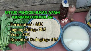 Fermentasi Air Cucian Beras Penghemat Biyaya Pakan Ayam [upl. by Alurta]